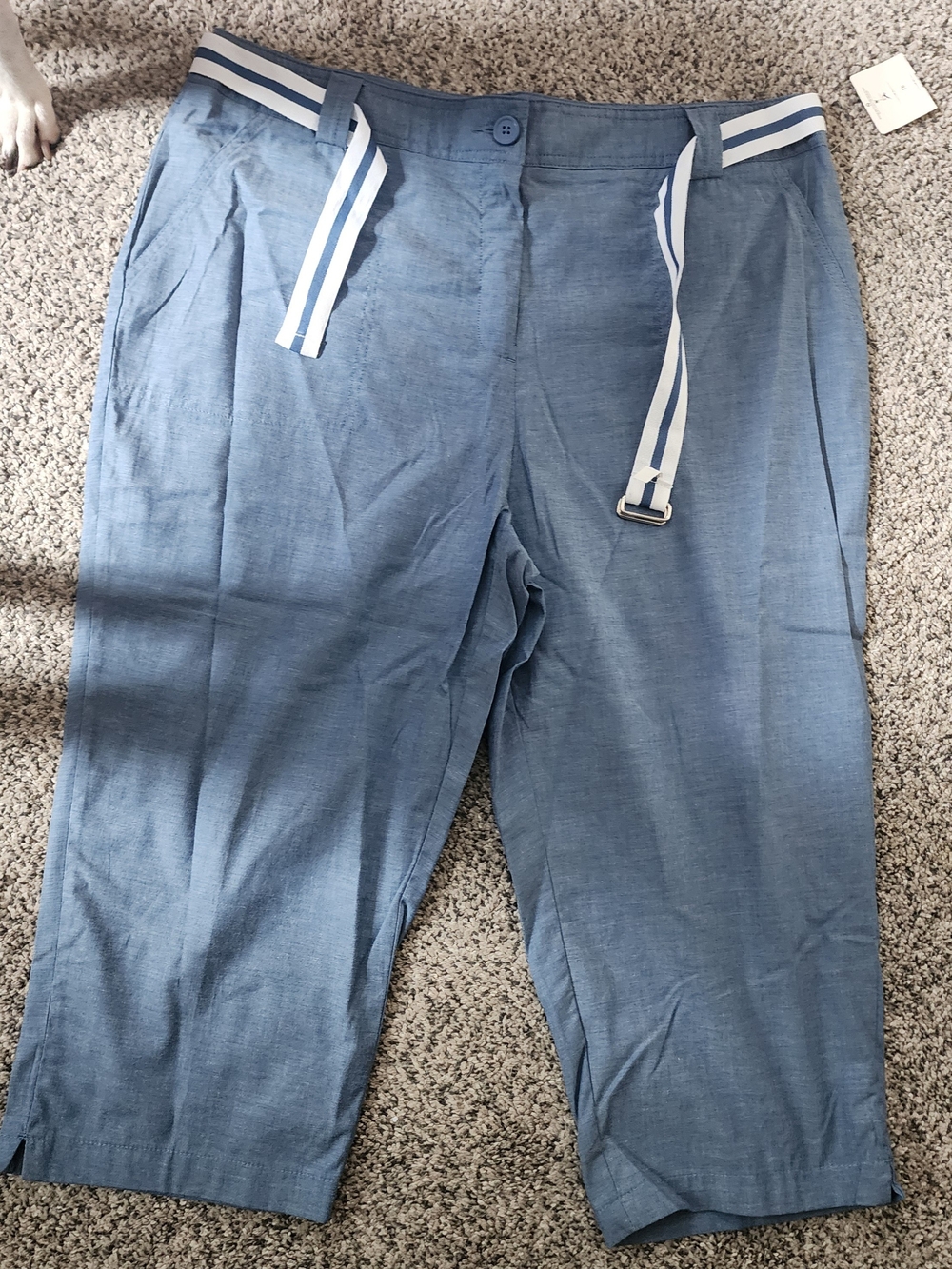 White Stag Light Blue Cropped Linen-Blend Pants with Stripe Belt